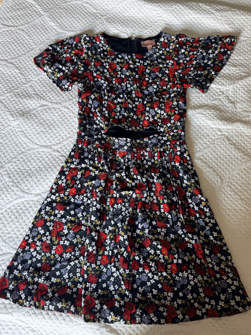 Willow & Root Black and Red Floral Fit-and-Flare Dress with open center. Size XS
